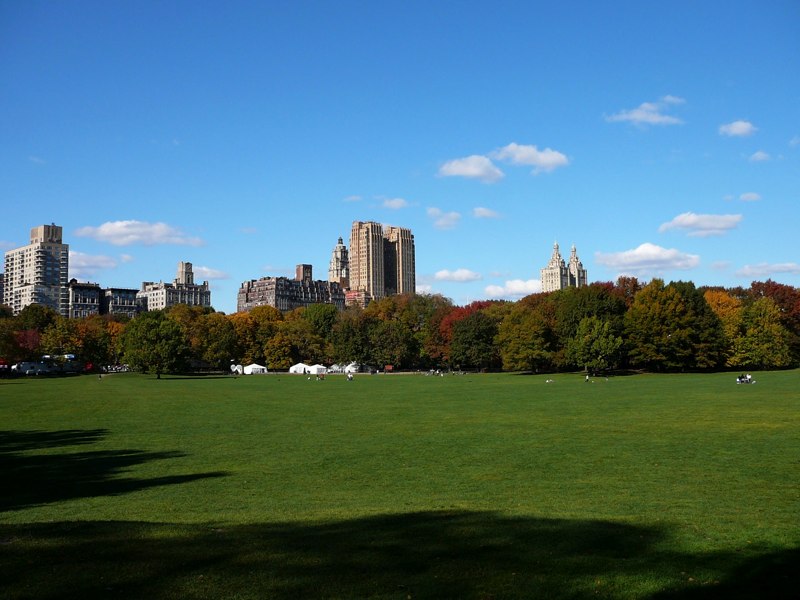 image15